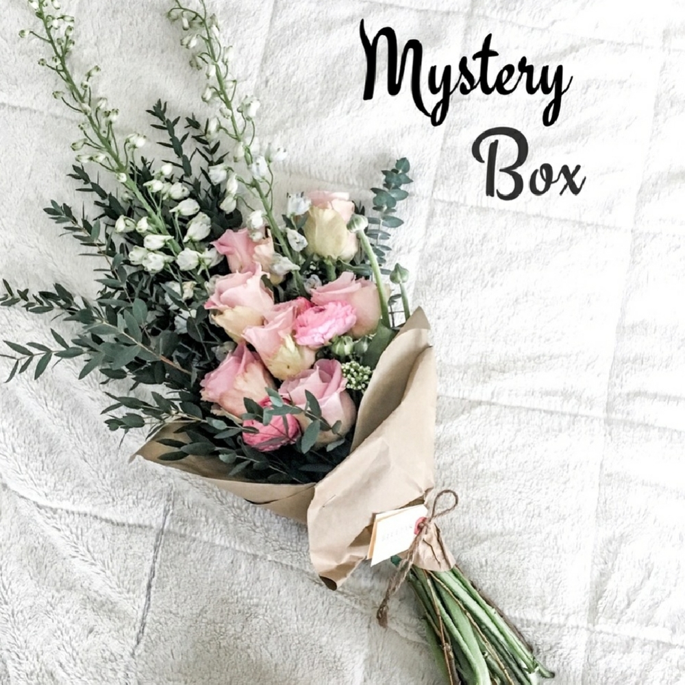 Choose Your Brand Reseller Mystery Box